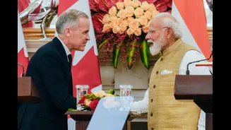 Related Stories banner