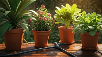 Automatic Plant Watering Systems Save Home Gardens For Frequent Travelers
