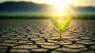 Climate Data Must Feel Useful, Not Heavy