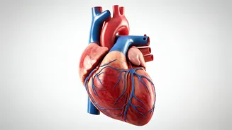 Energy Drinks: A Runner's Near-Fatal Wake-Up Call