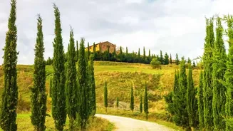 Tuscany Road Trip: With Short Driving Days: Works Best When Historic Towns And Rural Drives Share The Itinerary