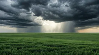 Monsoon System Refreshes Widespread Plains Across Bihar and Uttar Pradesh