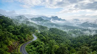 Post-Monsoon Western Ghats Road Trip Guide: Routes To Satara And Coorg