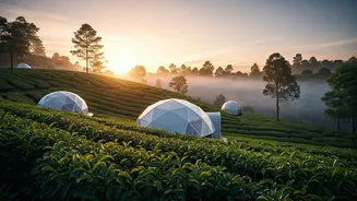 Misty Geodesic Glamping Domes Take Over Tea Estate Fields