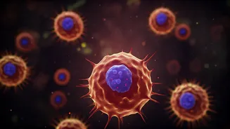 Immune Cell Aging: A Surprising Link to Depression in Women, New Study Reveals