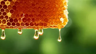 Related Stories banner