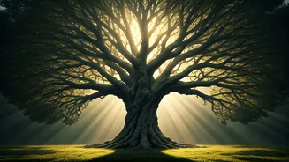 Uncover Your Innate Abilities: A Visual Tree Test for Hidden Talents