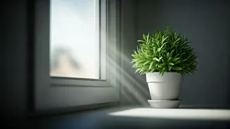 Keep Damp Away With These Easy Tricks