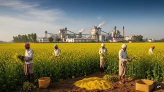 Edible oil security: India's next strategic challenge