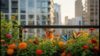 Urban Butterfly Gardens Continue Growing In Popularity