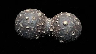 Why More Context Is Needed around Hayabusa2's Torifune Asteroid Flyby, Not More Hype