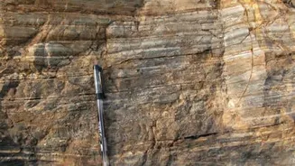 Scientists find oldest direct evidence of life in Singhbhum rock