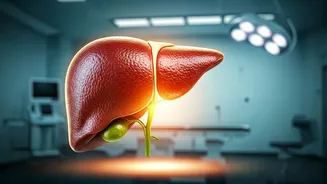 Cholesterol: Can Diet Truly Make a Difference?