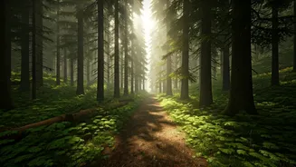 Nature Escapes Are The New Wellness Crowd-Puller