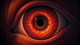 Revolutionary Eye Science: Unraveling the Mystery of Vision Development