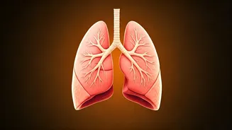 Cleanse Your Lungs After Diwali: Top 10 Foods
