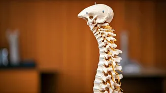 5 Home Exercises to Soothe Back Pain: Find Relief!