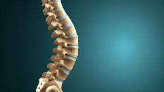 Related Stories banner