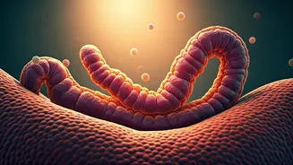 Unlocking Your Pet's Gut Health: Behavior & Aggression