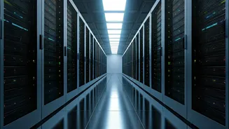 India's Economic Ascent: A WEF 2026 Perspective