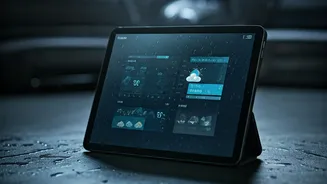 Rainy Trips Need Data, Not Just Vibes