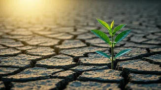 Embrace Your Stumbles: How Mistakes Forge Valuable Life Experiences