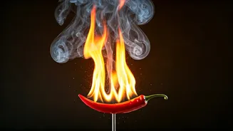 Orry's Spicy Takes on Sara Ali Khan's Career and More!