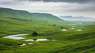 Monsoon Festival Makes Gujarat Look Lush Again