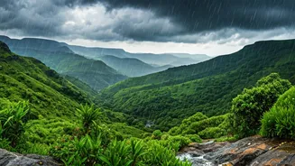 Western Ghats Rains Offer Refreshing Break From City Concrete Heat