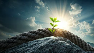 Related Stories banner