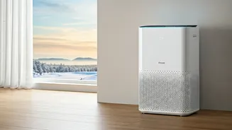 Clean Air Champions: Top 5 Purifiers for Winter's Smog