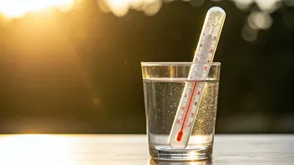 Heat Index Matters More Than Temperature Alone