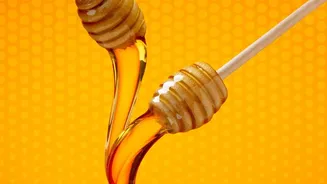 Honey Versus Sugar Nutrition Comparison: Understanding Moderation as the Key Sweetener Consideration