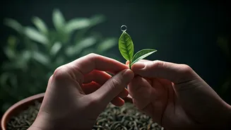 Related Stories banner