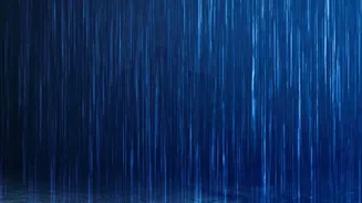 El Niño and Indian Rainfall: The Main Questions Around Monsoon-Economy Exposure