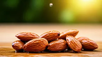 Daily Almonds: Transforming Your Health