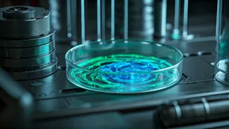 Unlock Exclusive Perks: Become a Science Supporter