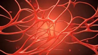 10 Yoga Poses to Boost Circulation in Winter