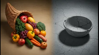 India's Changing Food Basket: a clearer explainer on diet quality, food affordability and hidden hunger