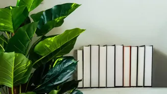 Why Adding Green Houseplants Improves Indoor Air Quality Around Compact Work-From-Home Computer Desks