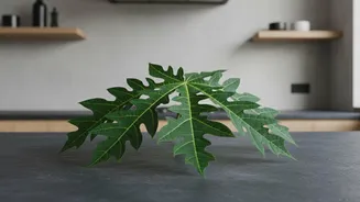 Papaya Leaf Extract and Dengue: Evidence, Uncertainty and Safety