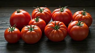 10 Delicious Tomato Dishes From Around the World