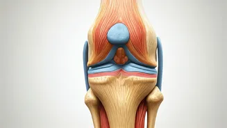 Squatting Daily: Benefits and Considerations