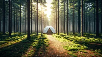 Escape Scorching City Heat At Secluded Pine Forest Eco Glamping Sites