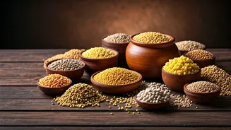 Millet Meals Have Entered Their Practical Era