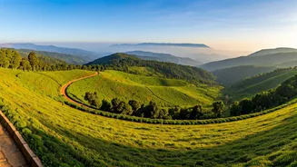 Ooty's Summer Charm: Your Ultimate Guide to India's Queen of Hill Stations