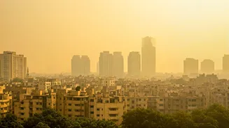 Delhi's Air Quality: Navigating Severe Pollution Challenges