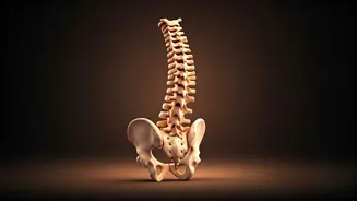 Related Stories banner