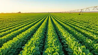 Streamlining Agri-Subsidies: Boosting Indian Reforms