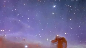 The Science Behind Webb's Thousands Of Comet-Like Knots In The Helix Nebula